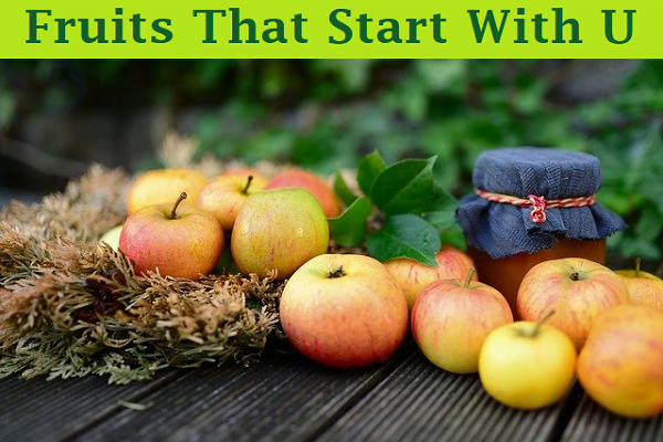 Fruits That Start With U