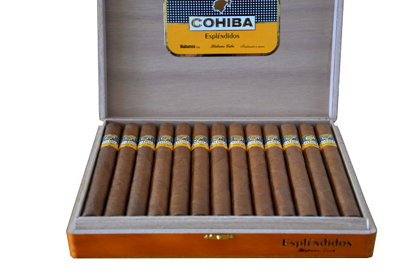 Cohiba Esplendido Cigar