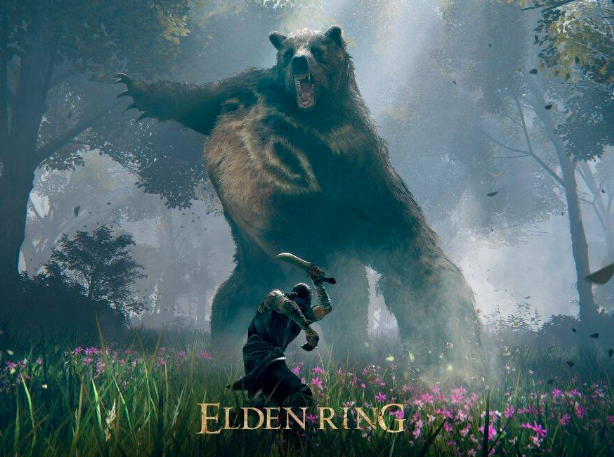 Elden Ring Video game