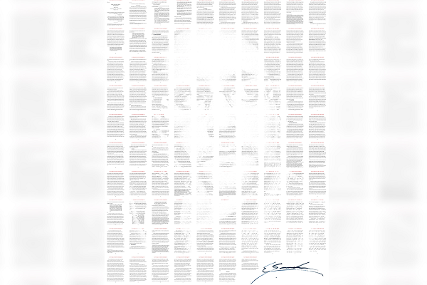 Stay Free by Edward Snowden