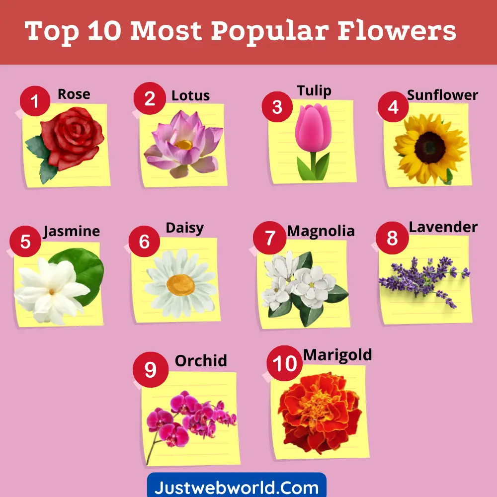 Most Beautiful Flowers In The World