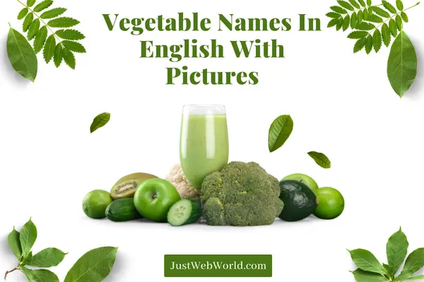 Vegetable Names in English