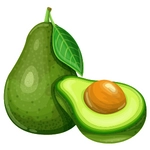 Avocado Fruit Photo