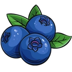 Blueberry Fruit Image