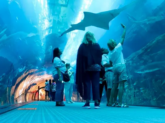 Dubai Aquarium and Underwater Zoo