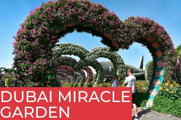 Dubai Miracle Garden