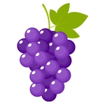 Grapes Picture