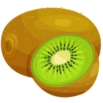 Kiwi Fruit Picture