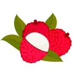 Lychee Fruit Image