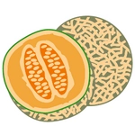 Cantaloupe Melon Photo