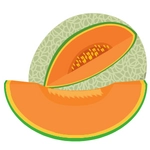 Melon Photo