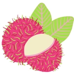 Rambutan Fruit Photo