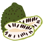 Soursop Fruit Photo