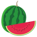 Watermelon Fruit Photo