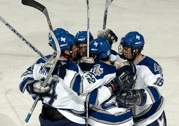 Hockey is a team sport