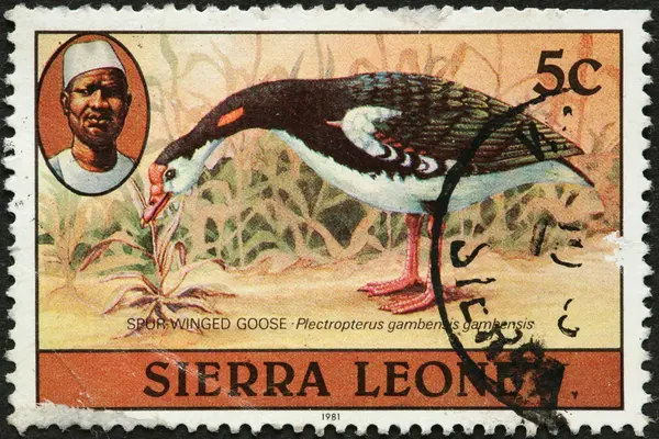 Sierra Leone