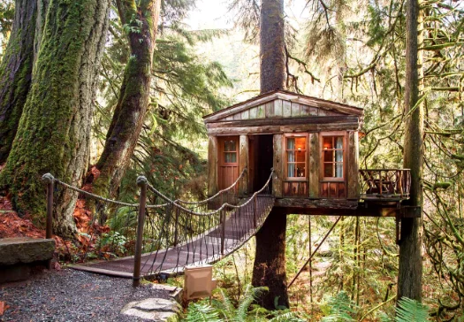 Romantic Treehouse Adult Getaway