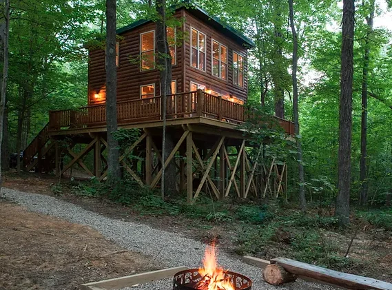 Sidney Nook Treehouse Rental