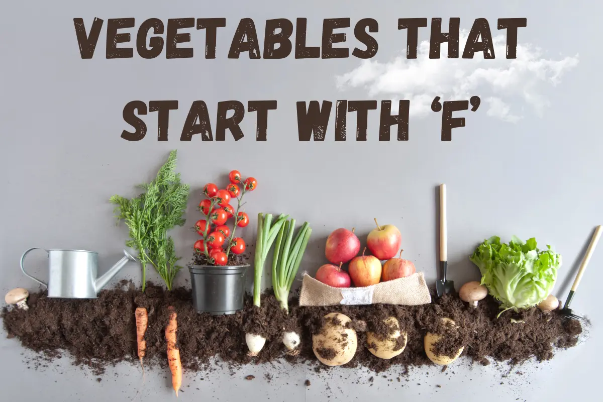 Vegetables That Start With F