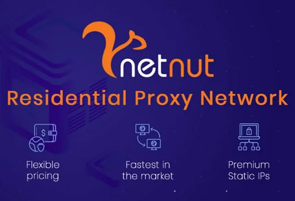 NetNut Proxy Network Review