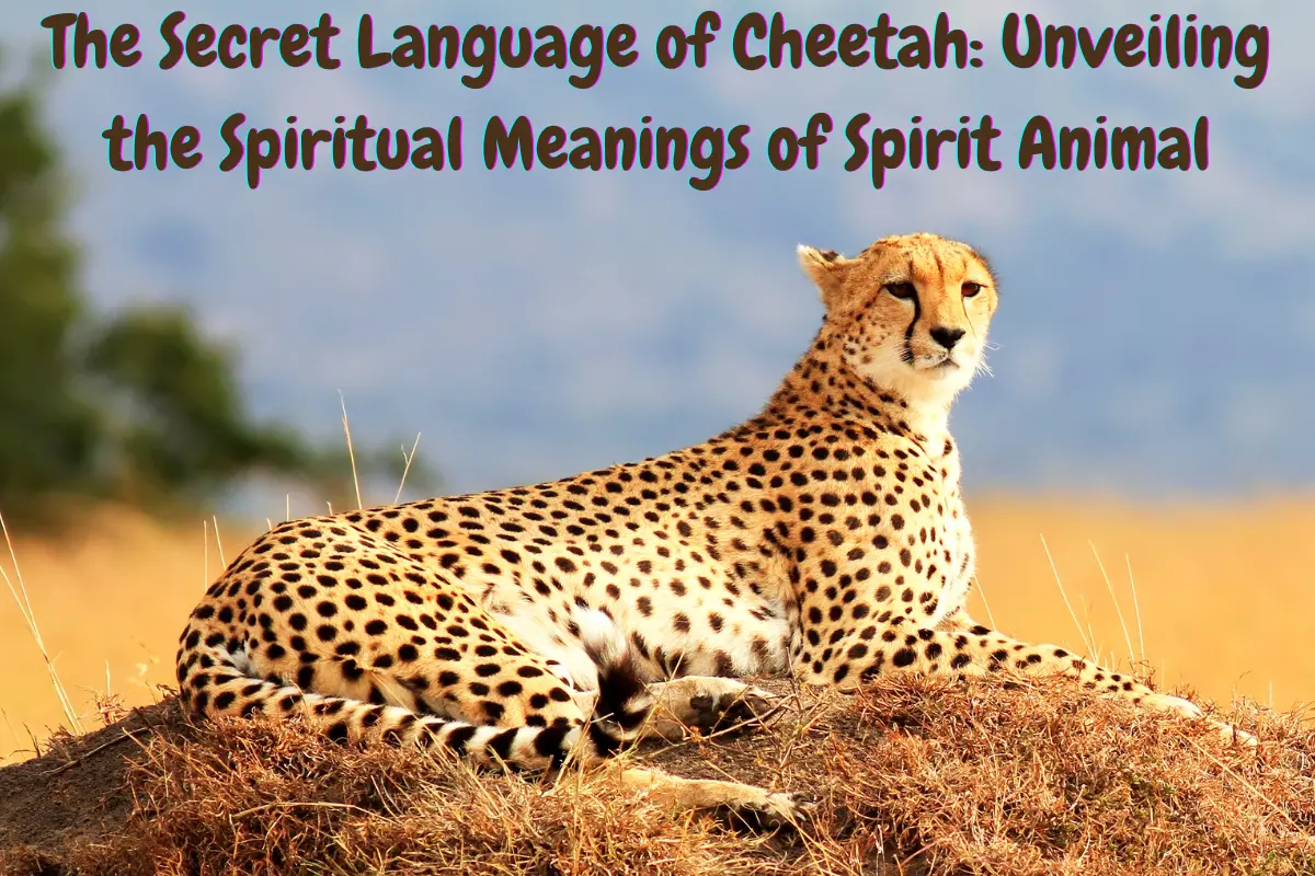 Symbolism of Cheetah