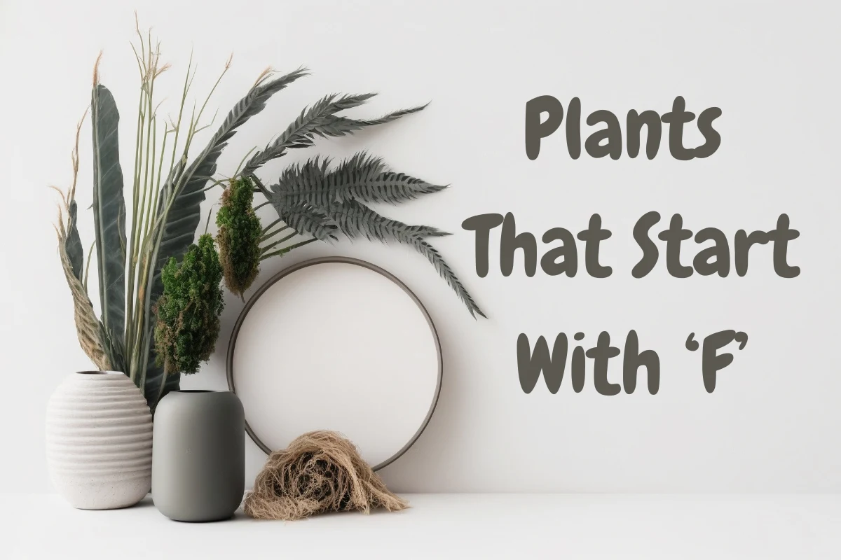 Plants That Start With F