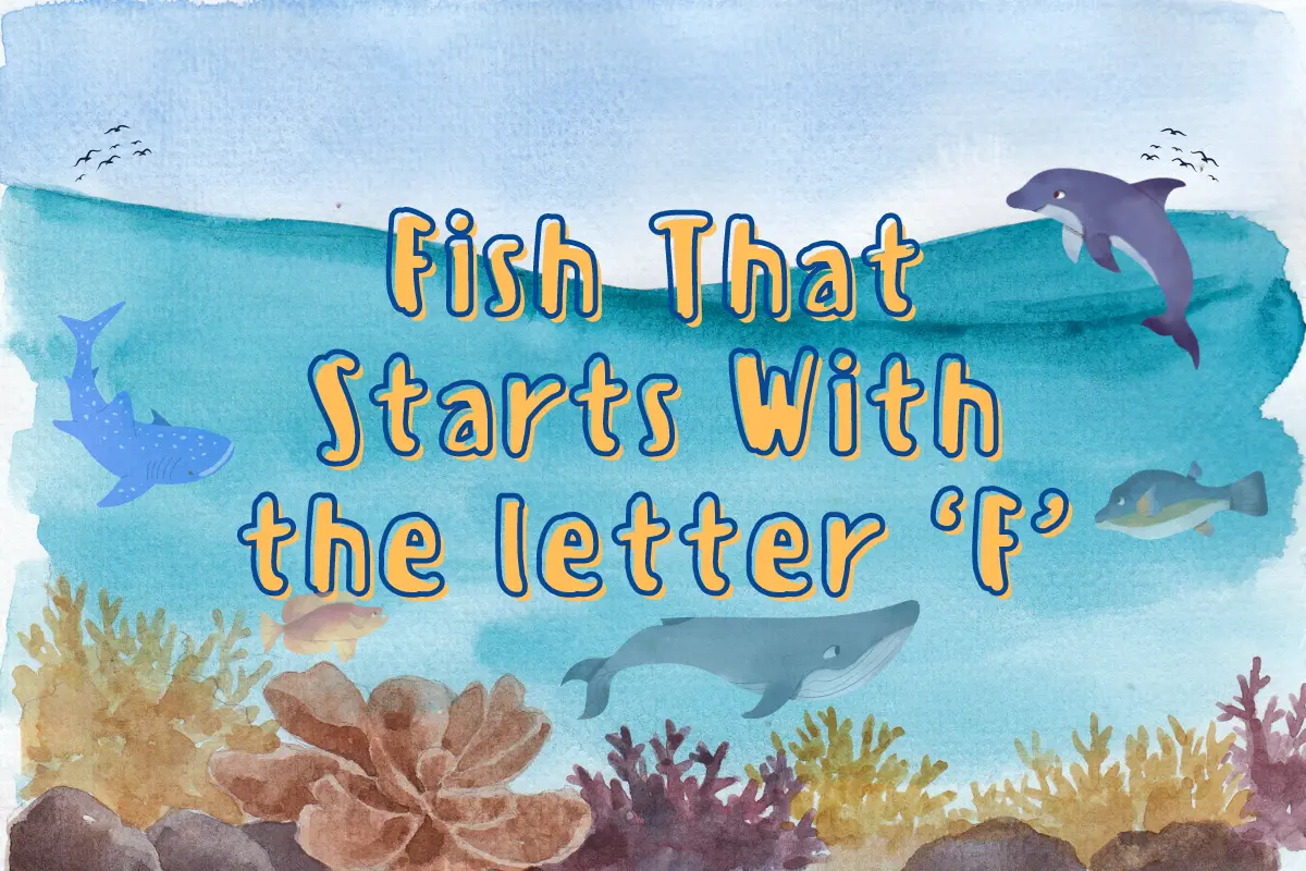 Fish That Start With F