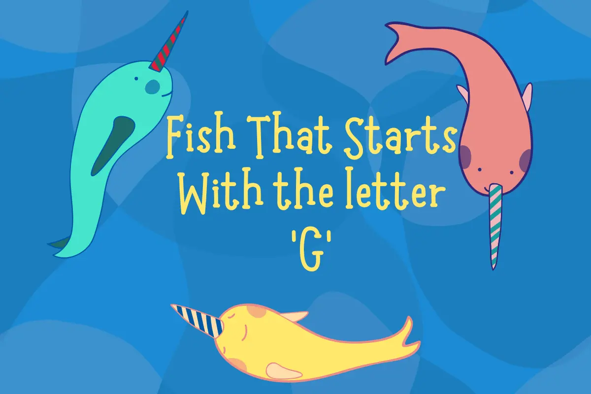 Fish That Start with G