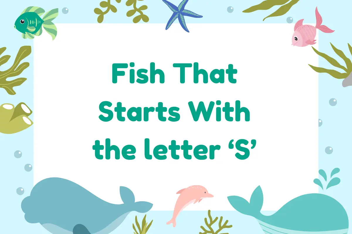 Fish That Start with S