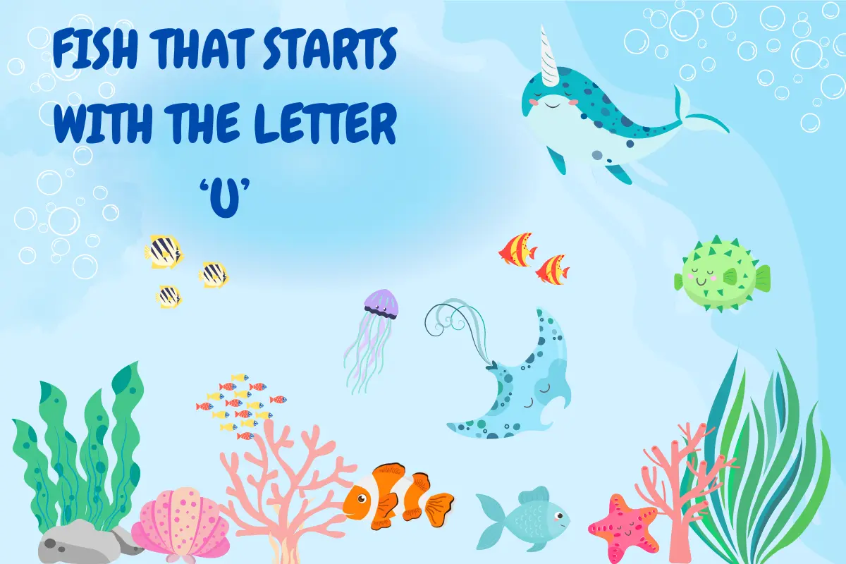 Fish That Start with U