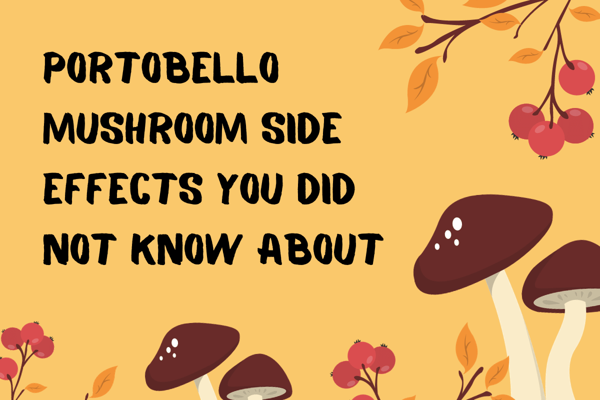 Portobello Mushroom Side Effects You Did Not Know About