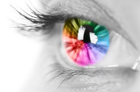 Visual Website Design