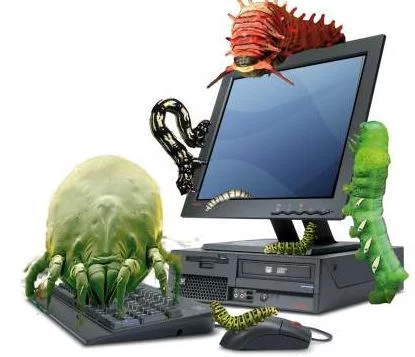Malicious Software