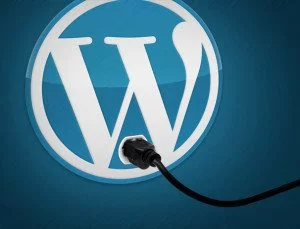 Plugins For WordPress You Should Have Installed For Your Website