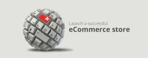 Attain Success In E-commerce World