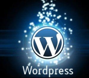 WordPress Themes