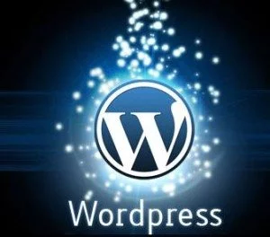 Top 5 Full Screen WordPress Themes showcasin your skills
