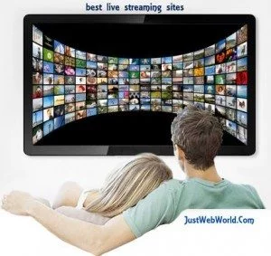 Top 10 Best TV Streaming Sites | Online Movie Streaming Sites