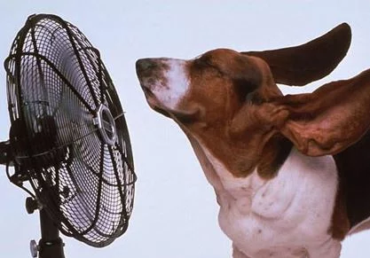 Keep It Cool