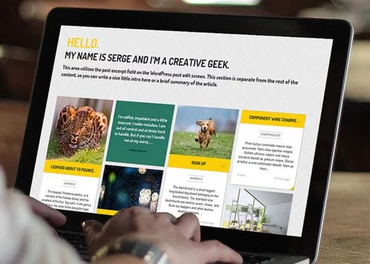 Web Designer