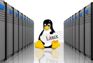 The Influence a Linux Virtual Server Hosting Solution Can Have on Your Business