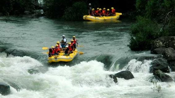 Coorg