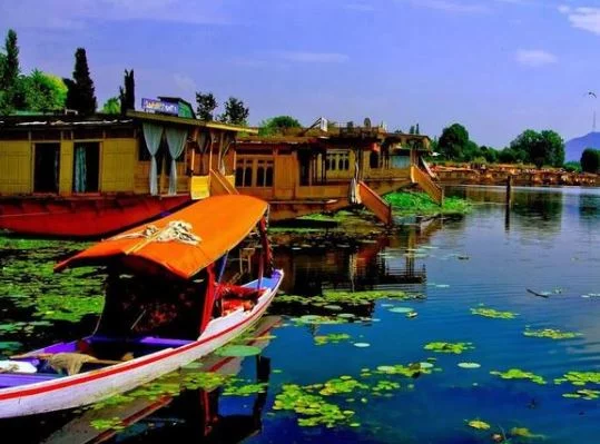 Srinagar