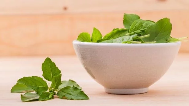 Benefits of Tulsi