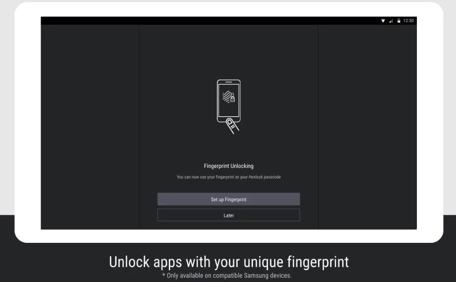Fingerprint lock