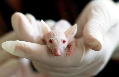 All Aspects of Lab Work