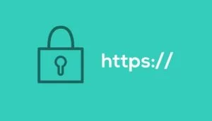 Protect Your Website by Choosing the Right SSL Certificate