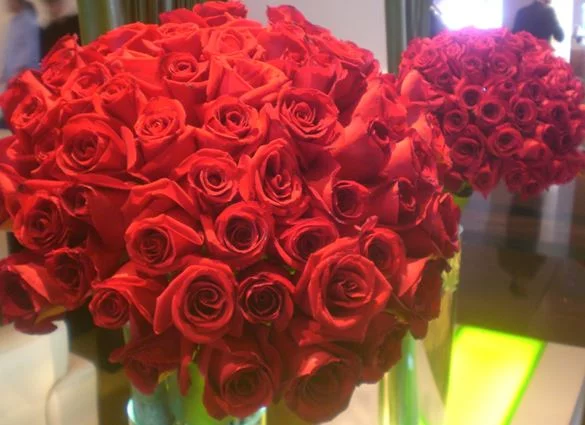 A bouquet of roses