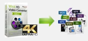 Fast Convert (4K) Video, Download Online Video with WinX HD Video Converter Deluxe