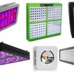 What Is An LED Grow Light? (Pros and Cons)